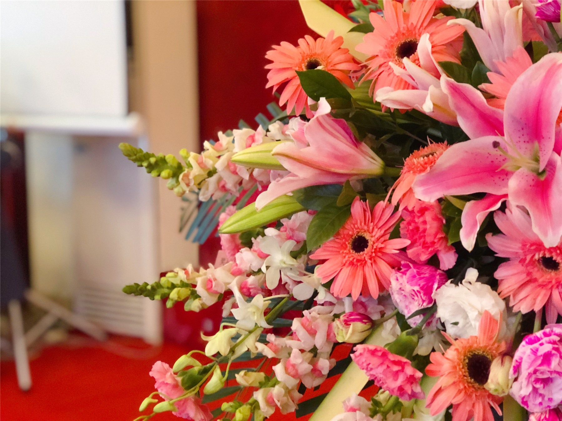 1548401358742966.jpg 圖片關(guān)鍵詞